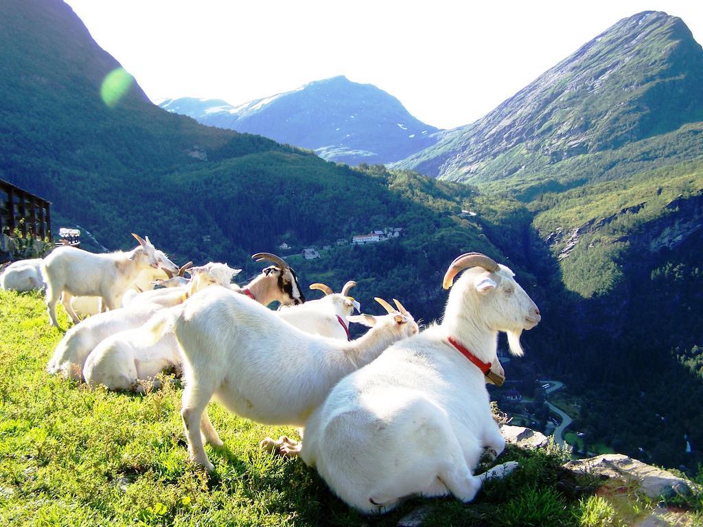 Westeras Gard Geiranger Exterior foto