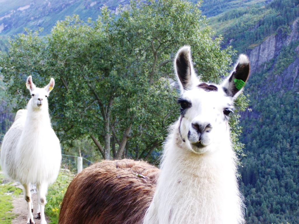 Westeras Gard Geiranger Exterior foto