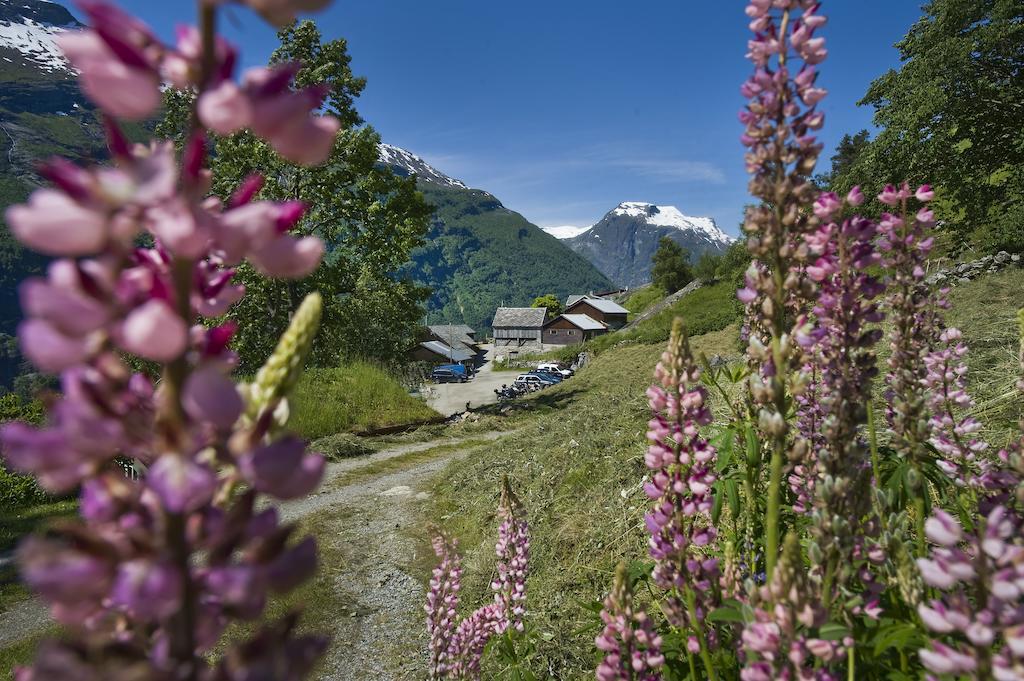 Westeras Gard Geiranger Exterior foto